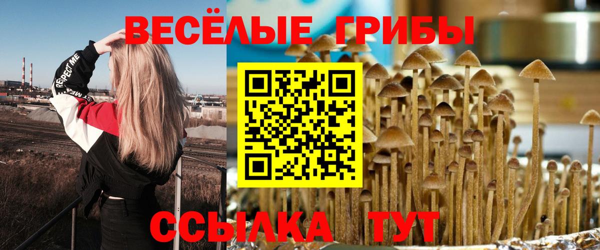 Галлюциногенные грибы Magic Shrooms  Псилоцибиновые грибы MAGIC MUSHROOMS  Вход с VPN  Таганрог 