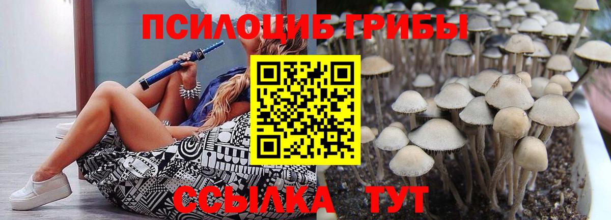 Псилоцибиновые грибы GOLDEN TEACHER Таганрог